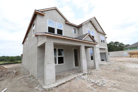 New construction Single-Family house 10634 New Morning Drive, Tampa, FL 33647 Grandshore II- photo 35 35