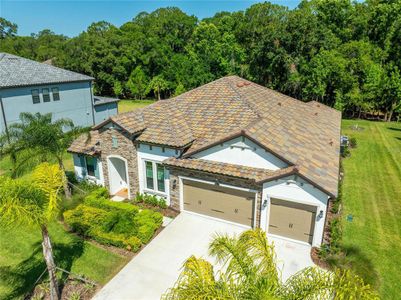 New construction Single-Family house 18416 Belfair Glen Place, Lutz, FL 33559 - photo 15 15