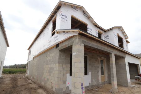 New construction Single-Family house 38144 Cobble Creek Boulevard, Zephyrhills, FL 33540 Mira Lago- photo 17 17