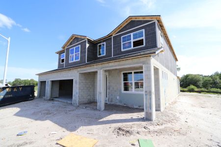 New construction Single-Family house 5263 Peony Court, Lakeland, FL 33811 Mira Lago- photo 17 17