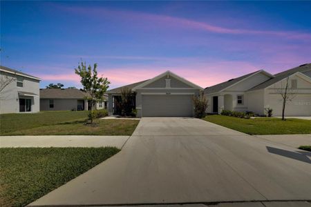 New construction Single-Family house 36629 Spanish Rose Drive, Dade City, FL 33525 - photo 0 0