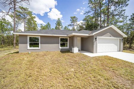 New construction Single-Family house 117 Nw Sparrow Road, Dunnellon, FL 34431 - photo 56 56