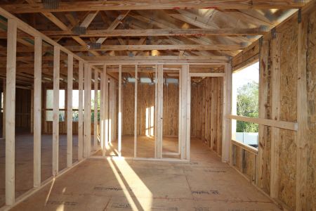 New construction Single-Family house 12114 Hilltop Farms Drive, Dade City, FL 33525 Alenza- photo 10 10
