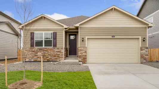 New construction Single-Family house 5949 Holstein Dr, Windsor, CO 80528 CHATHAM- photo 0