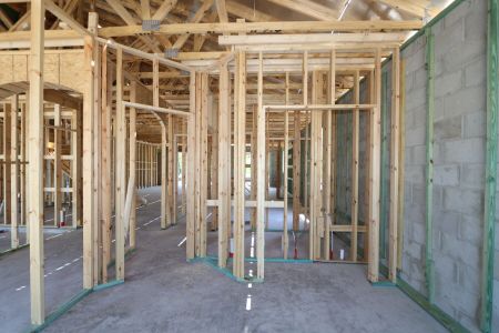 New construction Single-Family house 7702 Hemlock Seed Drive, Wesley Chapel, FL 33545 Corina II Bonus- photo 10 10