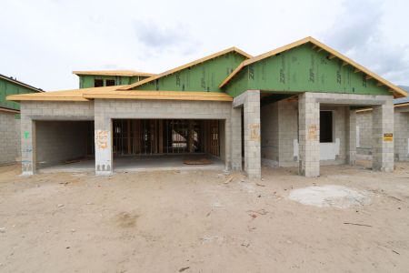 New construction Single-Family house 2505 Clary Sage Drive, Spring Hill, FL 34609 Corina  III Bonus- photo 27 27