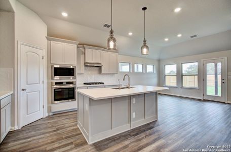 New construction Single-Family house 1695 Dirndl, New Braunfels, TX 78132 Premier Series - Palm- photo 14 14