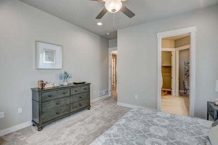 New construction Single-Family house 8412 Cromwell Circle, Windsor, CO 80528 - photo 122 122