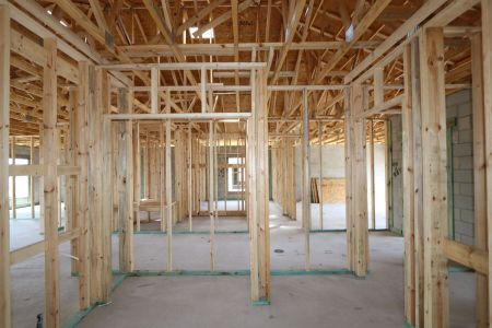 New construction Single-Family house 12153 Hilltop Farms Drive, Dade City, FL 33525 Sentinel- photo 13 13