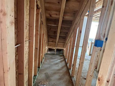 New construction Single-Family house 420 Possumhaw Ln, San Marcos, TX 78666 Ladybird Homeplan- photo 16 16