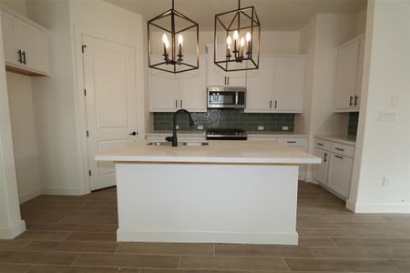 New construction Single-Family house 385 Comfort Maple Lane, Dripping Springs, TX 78620 Galloway - Capital Series- photo