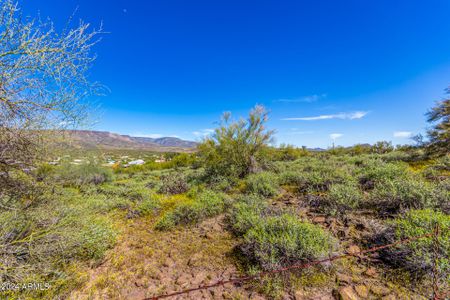 New construction Single-Family house 492XX N 15Th Avenue, New River, AZ 85087 - photo 18 18