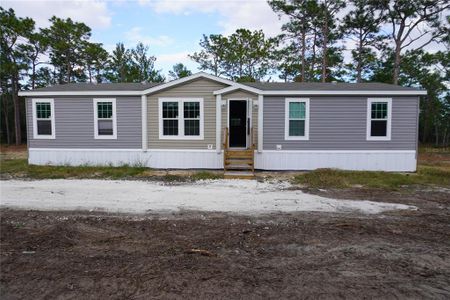 New construction Manufactured Home house 11837 Se 165 Avenue, Ocklawaha, FL 32179 - photo 0