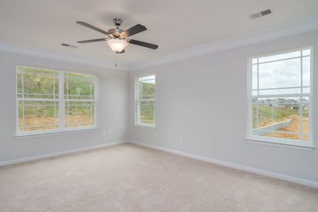 New construction Single-Family house 57 Daniel Farm Drive, Benson, NC 27504 - photo 17 17