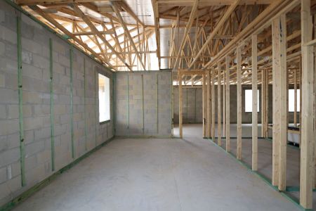 New construction Single-Family house 31843 Sapna Chime Drive, Wesley Chapel, FL 33545 Picasso- photo 14 14