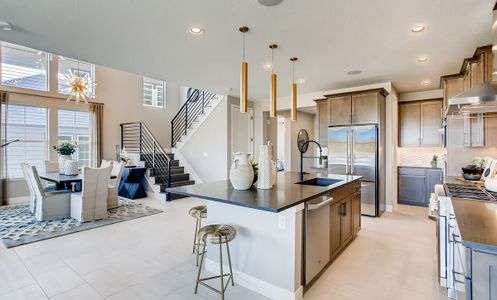 New construction Single-Family house 1590 Candleflower Drive, Castle Pines, CO 80108 - photo 12 12