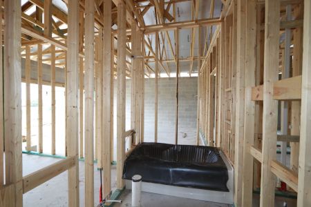 New construction Single-Family house 31843 Sapna Chime Drive, Wesley Chapel, FL 33545 Picasso- photo 19 19