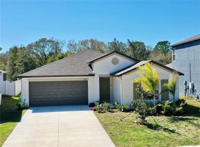 New construction Single-Family house 10359 Alder Green Drive, Riverview, FL 33578 - photo 0