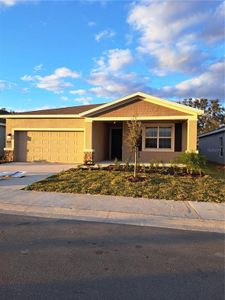 New construction Single-Family house 2852 Big Sur Road, Davenport, FL 33837 - photo 0