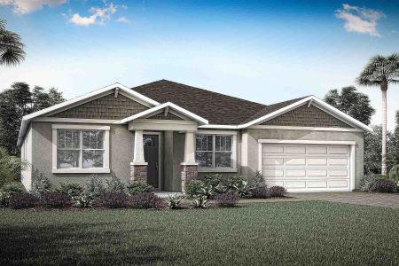 New construction Single-Family house 12002 Golf Course Road, Parrish, FL 34219 - photo 1 1