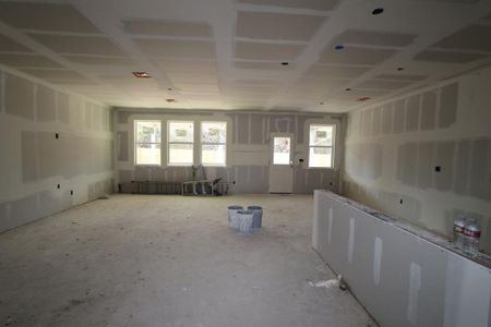New construction Single-Family house 515 Diorite Cv, Liberty Hill, TX 78642 Trinity - photo 13 13