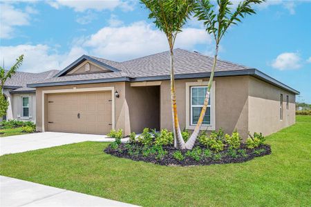 New construction Single-Family house 12807 Del Lago Drive, Astatula, FL 34705 - photo