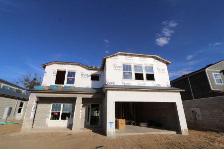 New construction Single-Family house 12114 Hilltop Farms Drive, Dade City, FL 33525 Alenza- photo 52 52