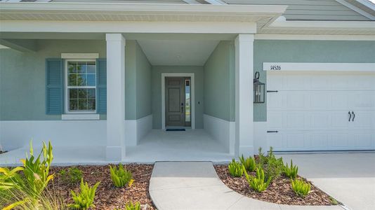 New construction Single-Family house 14526 Paddlers Crossing, Parrish, FL 34219 - photo 8 8