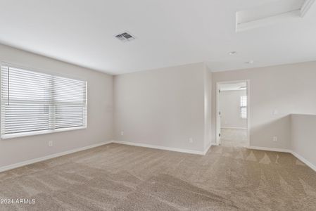New construction Single-Family house 8325 E Irwin Avenue, Mesa, AZ 85209 - photo 13 13