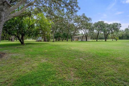 New construction Manufactured Home house 1465 W Cardinal Street, Unit 14, Lecanto, FL 34461 - photo 35 35