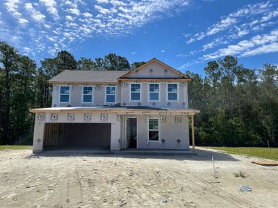 New construction Single-Family house 1110 Irving Manigault Road, McClellanville, SC 29458 - photo 0