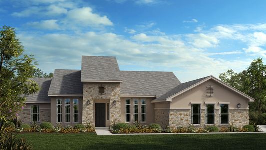 New construction Single-Family house 258 Brins Way, Dripping Springs, TX 78620 - photo 13 13