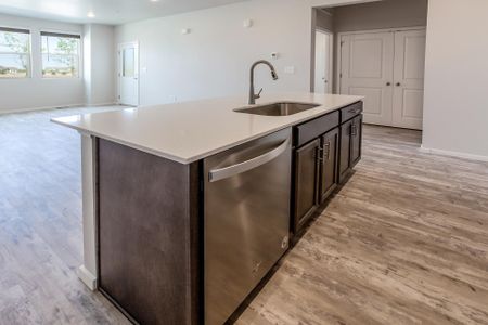 New construction Condo/Apt house 2908 Conquest Street, Fort Collins, CO 80524 - photo 15 15