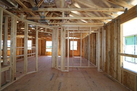 New construction Single-Family house 12078 Hilltop Farms Drive, Dade City, FL 33525 Mira Lago- photo 27 27