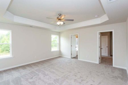 New construction Single-Family house 776 Spring Crest Drive, Angier, NC 27501 - photo 80