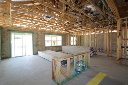 New construction Single-Family house 31835 Sapna Chime Drive, Wesley Chapel, FL 33545 Salinas- photo 26 26