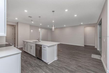 New construction Single-Family house 6103 N Nakoma Drive, Beverly Hills, FL 34465 - photo 5 5