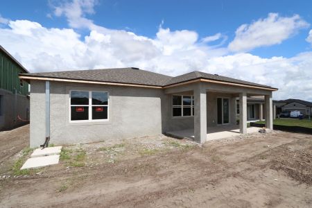 New construction Single-Family house 32568 Sapna Chime Drive, Wesley Chapel, FL 33545 Barcello- photo 45 45