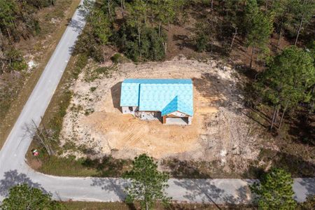 New construction Single-Family house 57 Sw Lombardy Lane, Dunnellon, FL 34431 - photo
