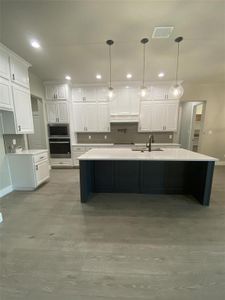 New construction Single-Family house 9304 Bluestem Lane, Dish, TX 76247 - photo 6 6