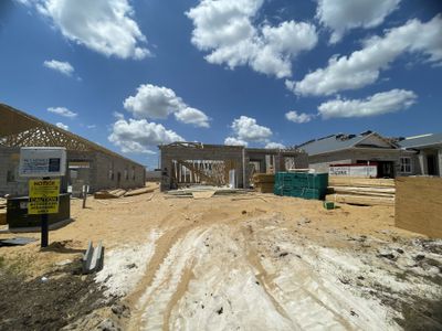 New construction Single-Family house 906 Pointe Emerson Boulevard, Apopka, FL 32703 Santa Barbara II - Eco Series- photo 9 9