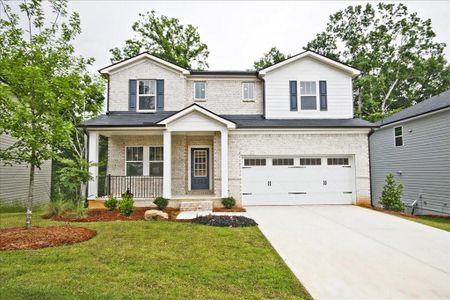 New construction Single-Family house 218 Water Oak Way, Dawsonville, GA 30534 Johnson Basement- photo 0