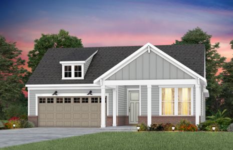 New construction Single-Family house Palmary, Nixon Road, Belmont, NC 28012 - photo
