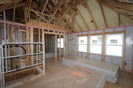 New construction Single-Family house 13635 Rollingwood Lane, Frisco, TX 75033 Senora- photo 27 27