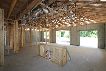 New construction Single-Family house 2530 Sunny Pebble Loop, Zephyrhills, FL 33540 Salinas- photo 22 22