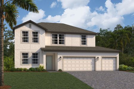 New construction Single-Family house 4969 Eagle Rock Drive, Wimauma, FL 33598 - photo 11 11