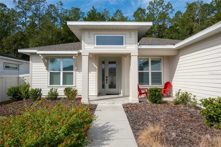 New construction Single-Family house 638 Sw 145Th Drive, Newberry, FL 32669 - photo