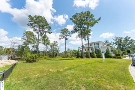 New construction Single-Family house 465 Lesesne Street, Charleston, SC 29492 - photo 16 16