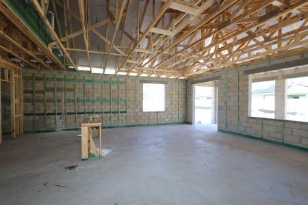 New construction Single-Family house 31835 Sapna Chime Drive, Wesley Chapel, FL 33545 Salinas- photo 13 13