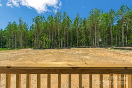 New construction Single-Family house 1241 Burris Boulevard, Lincolnton, NC 28092 - photo 12 12